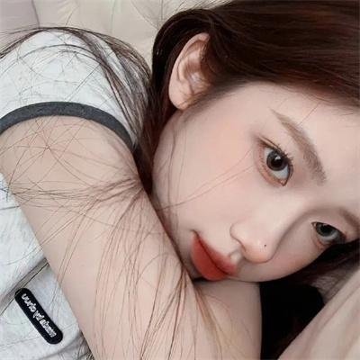 布里斯比熊